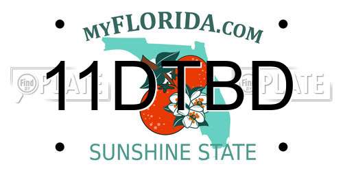 11DTBD Florida License Plate
