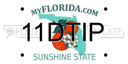 11DTIP Florida License Plate