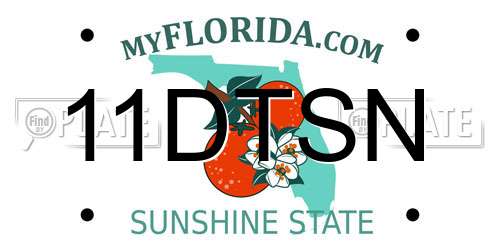 11DTSN Florida License Plate