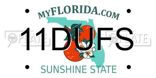 11DUFS Florida License Plate