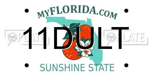 11DULT Florida License Plate