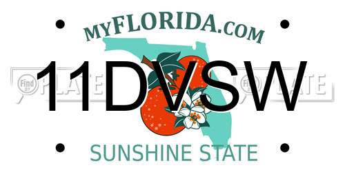 11DVSW Florida License Plate
