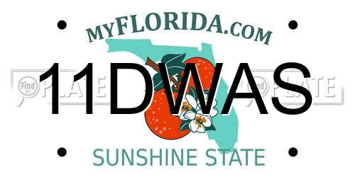 11DWAS Florida License Plate