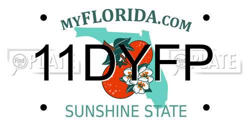 11DYFP Florida License Plate