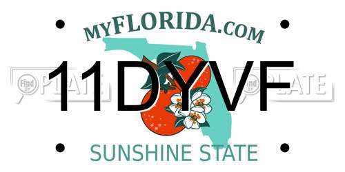 11DYVF Florida License Plate
