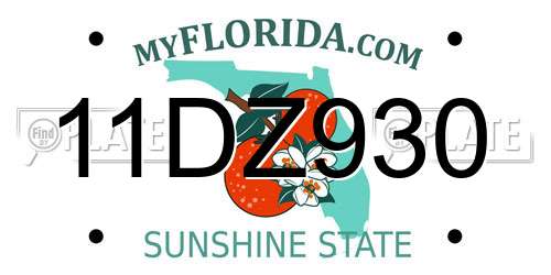 11DZ930 Florida License Plate