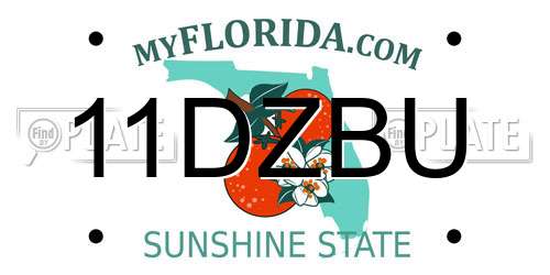 11DZBU Florida License Plate