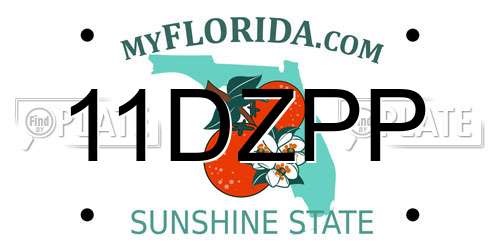 11DZPP Florida License Plate