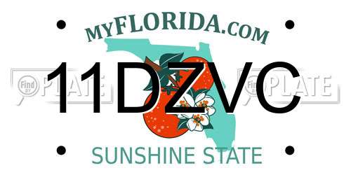 11DZVC Florida License Plate