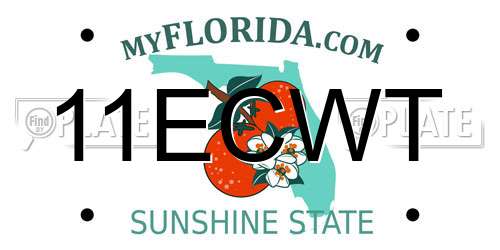 11ECWT Florida License Plate