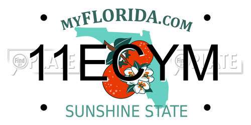 11ECYM Florida License Plate