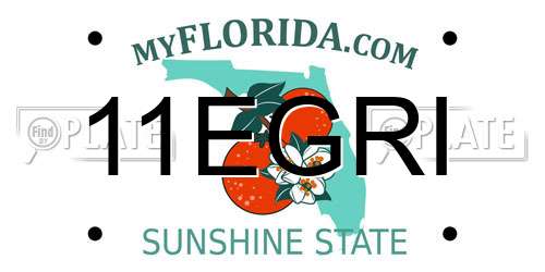 11EGRI Florida License Plate