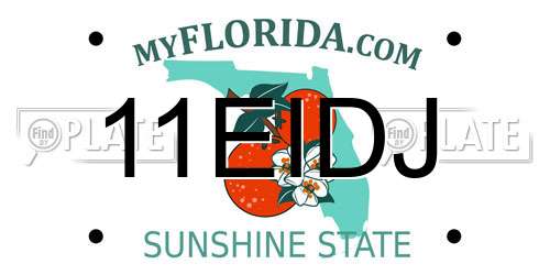 11EIDJ Florida License Plate