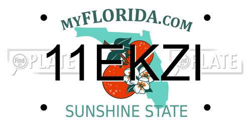 11EKZI Florida License Plate