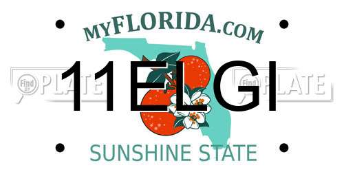 11ELGI Florida License Plate