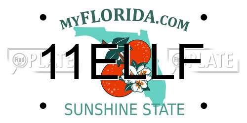 11ELLF Florida License Plate