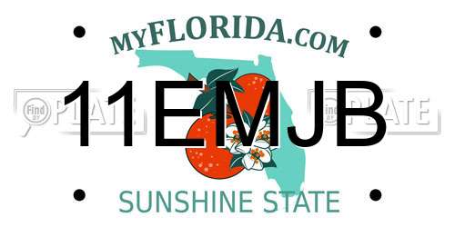 11EMJB Florida License Plate