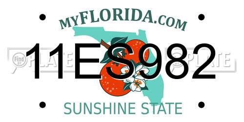 11ES982 Florida License Plate
