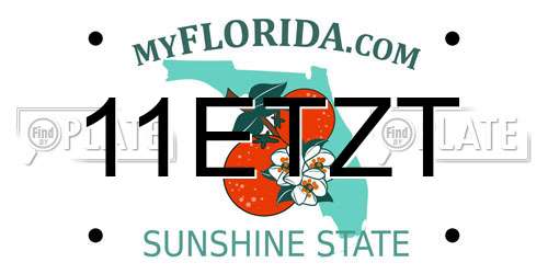 11ETZT Florida License Plate