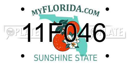 11F046 Florida License Plate