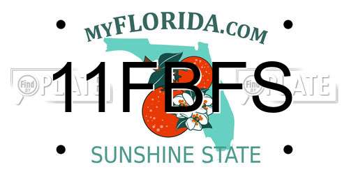 11FBFS Florida License Plate