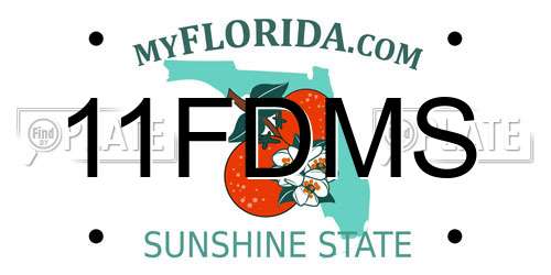 11FDMS Florida License Plate