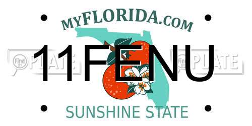 11FENU Florida License Plate