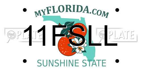 11FSLL Florida License Plate