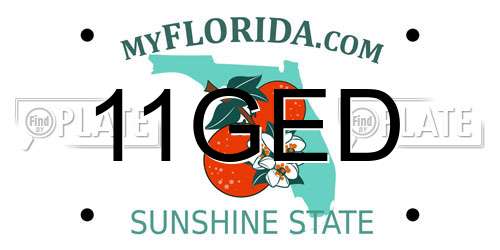 11GED Florida License Plate