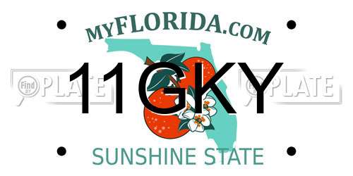 11GKY Florida License Plate