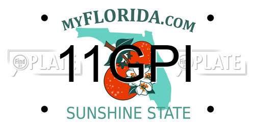 11GPI Florida License Plate