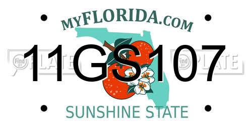 11GS107 Florida License Plate