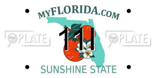 11I Florida License Plate