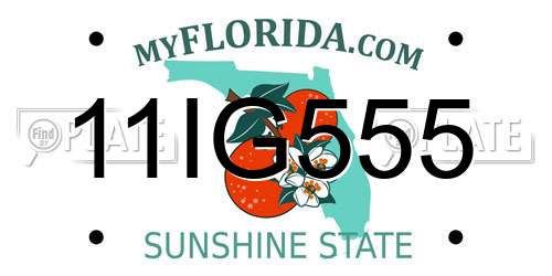 11IG555 Florida License Plate