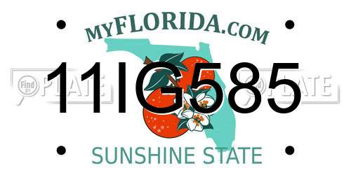 11IG585 Florida License Plate