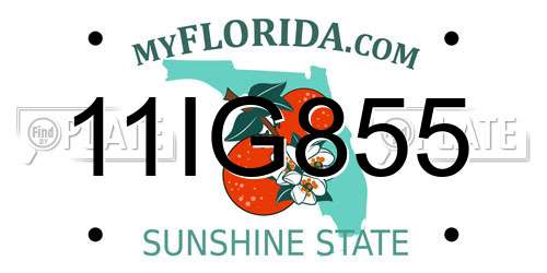11IG855 Florida License Plate