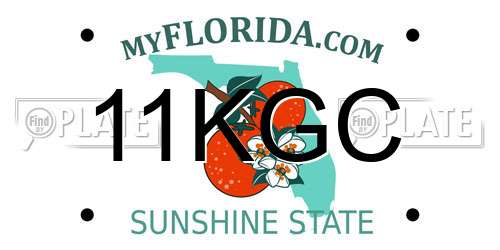 11KGC Florida License Plate