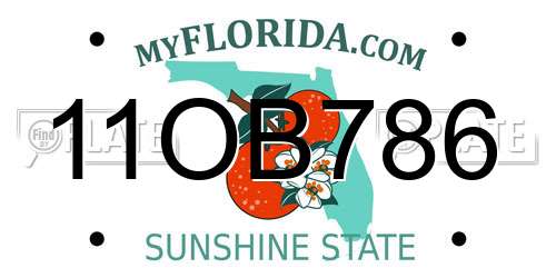 11OB786 Florida License Plate