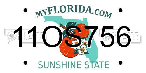 11OS756 Florida License Plate