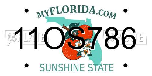 11OS786 Florida License Plate