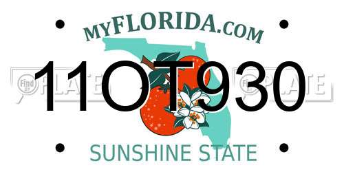 11OT930 Florida License Plate