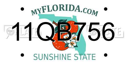 11QB756 Florida License Plate