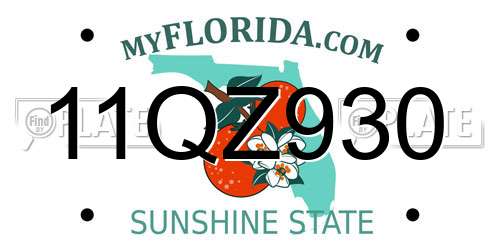 11QZ930 Florida License Plate