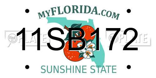 11SB172 Florida License Plate