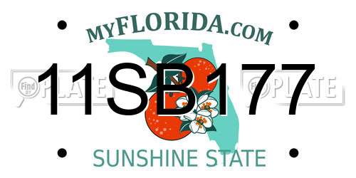 11SB177 Florida License Plate