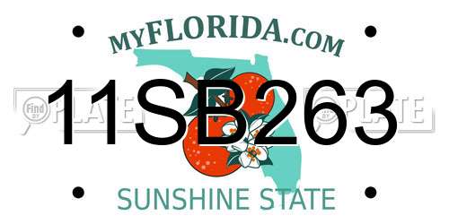 11SB263 Florida License Plate