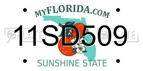 11SD509 Florida License Plate
