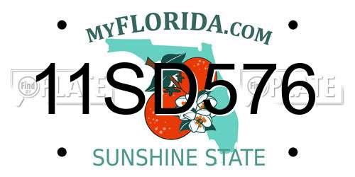 11SD576 Florida License Plate