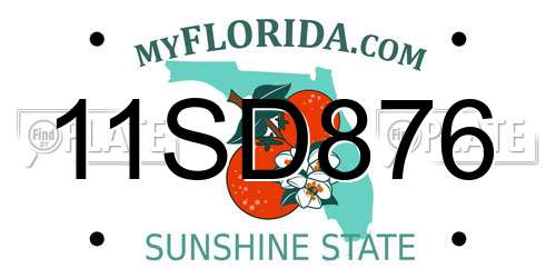 11SD876 Florida License Plate