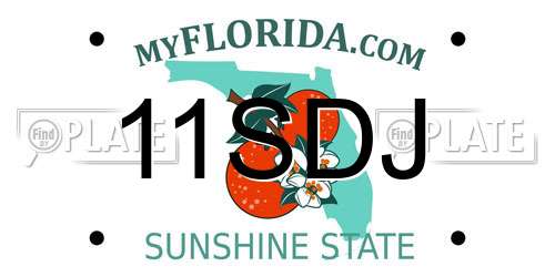 11SDJ Florida License Plate